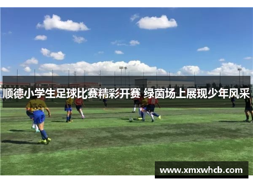 顺德小学生足球比赛精彩开赛 绿茵场上展现少年风采